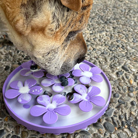 Lick Mat per cani – Cos'è, come usarlo e idee per riempirlo