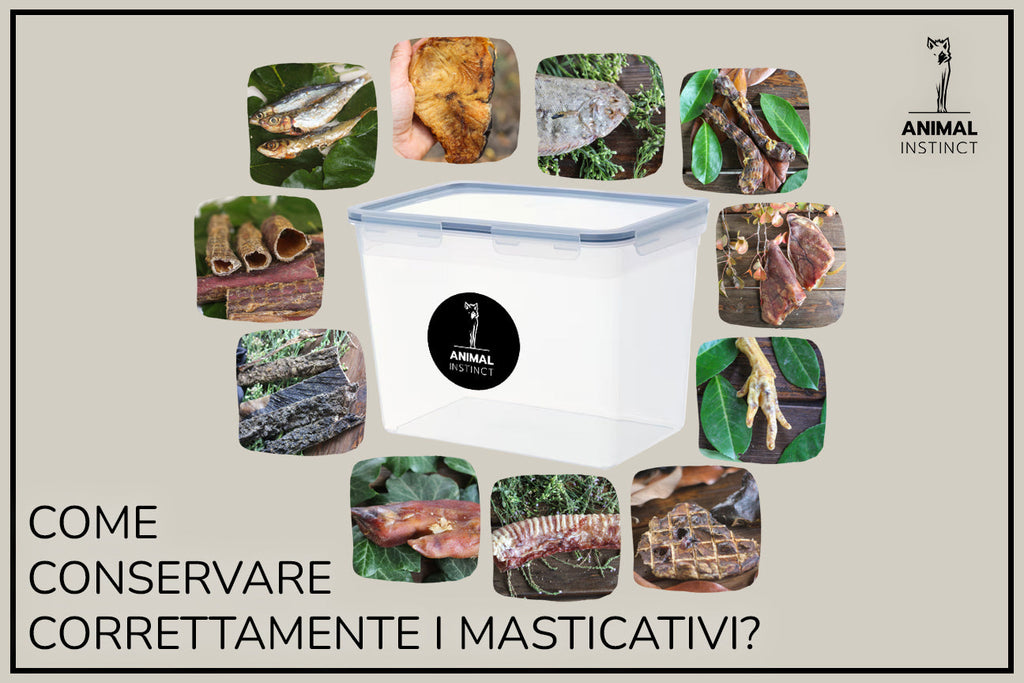 Come conservare correttamente i masticativi?