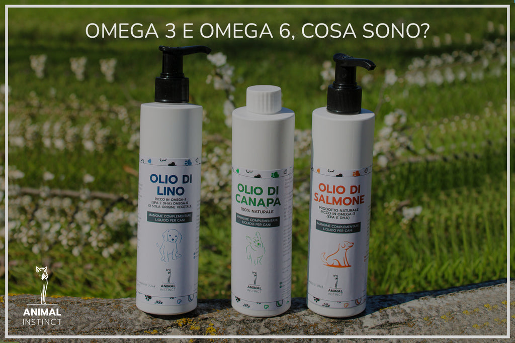 OMEGA 3 E OMEGA 6, COSA SONO?