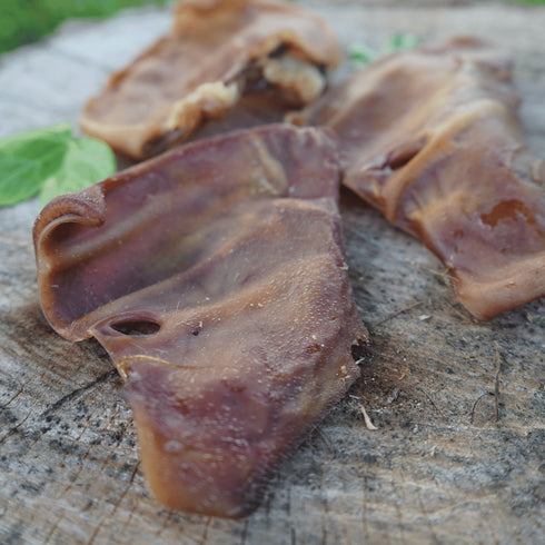 Pig Ear (2 pcs)