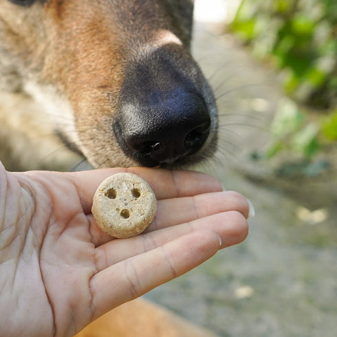 Biscottini al Maiale (400 gr)