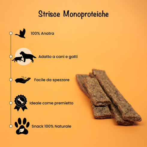 Strisce di carne essiccata di Anatra (100 g)