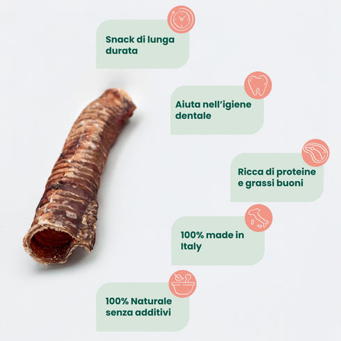 Trachea di Manzo 30 cm(1 pz)