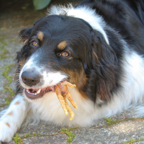 Chicken feet (200 gr)