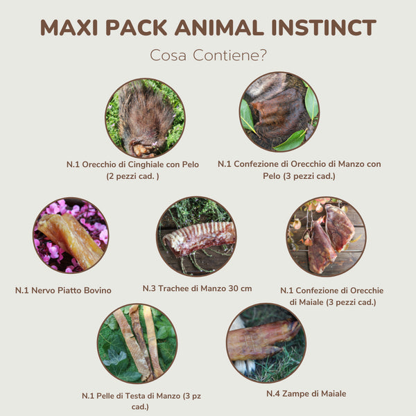 MAXI PACK ANIMAL INSTINCT