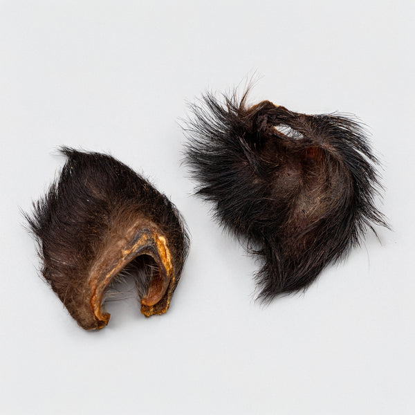 Cow Ear with Fur (3 pcs)