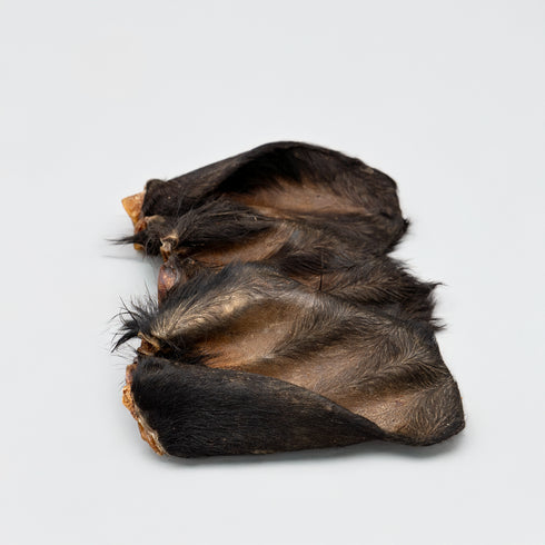 Cow Ear with Fur (3 pcs)