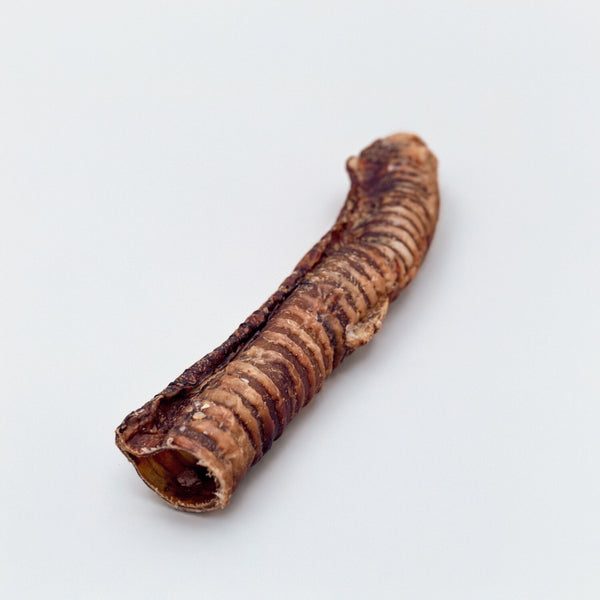 Cow Trachea 30 CM (1 pz)