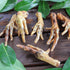 Chicken feet (200 gr)