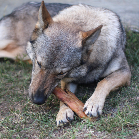 Pork Foot (1 pc)