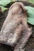 Cow Ear with Fur (3 pcs)