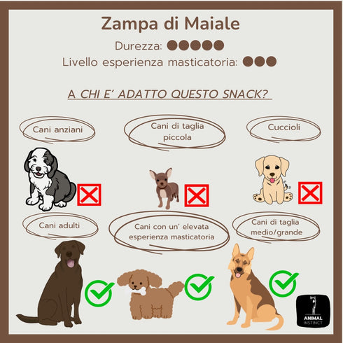 Zampa di Maiale (1 pz)