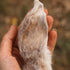 Rabbit Ear with Fur (100 gr)