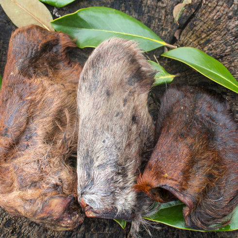 Cow Ear with Fur (3 pcs)