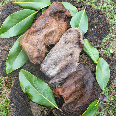 Cow Ear with Fur (3 pcs)