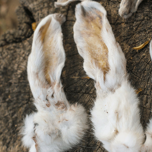 Rabbit Ear with Fur (100 gr)